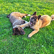 Akira participe au concours pour gagner de l'argent avec cette photo :