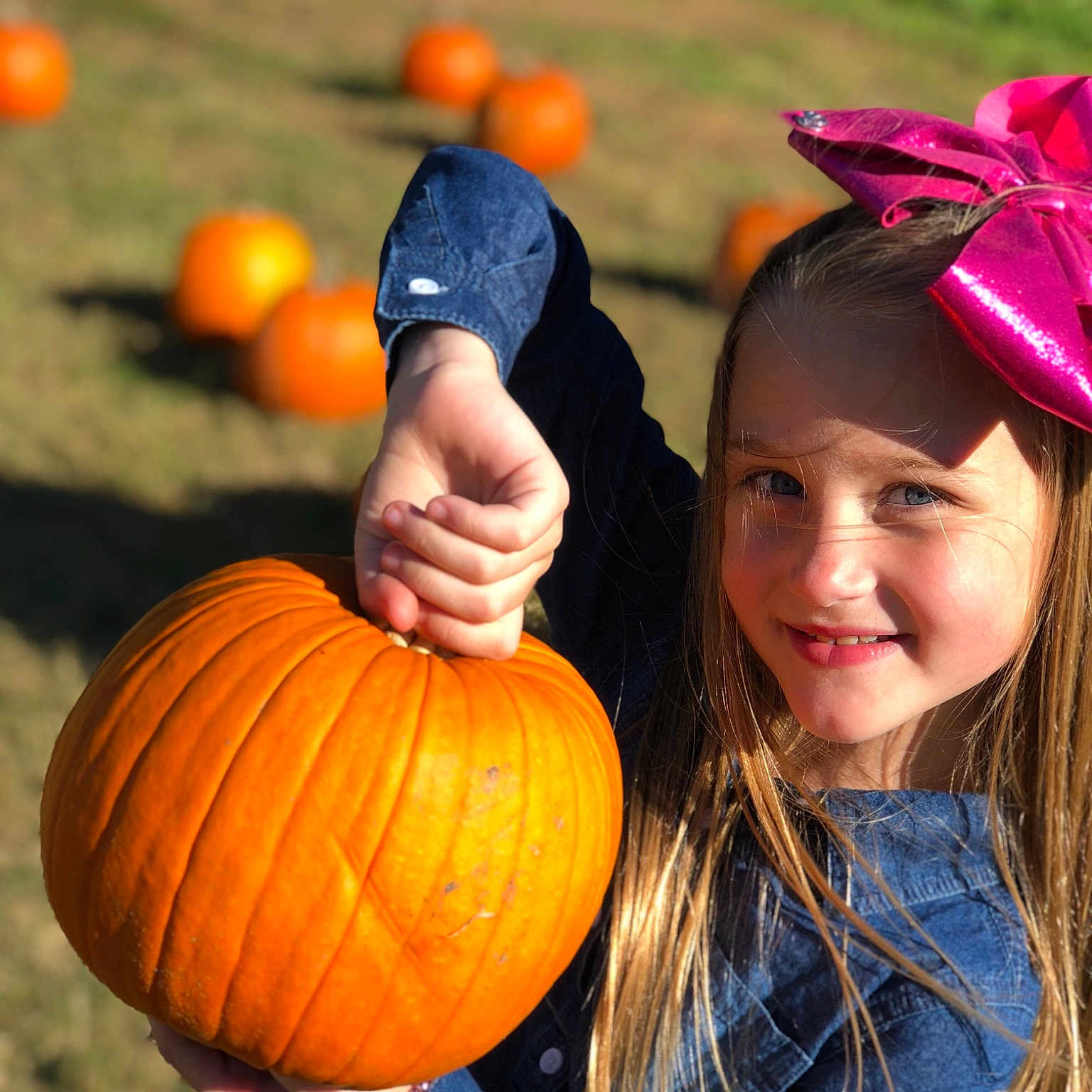 Adyson is registered to the contest to win money with this photo: calabaza, carving, child, cucurbita, fun, girl, gourd, halloween, happiness, joy, person, pumpkin, smile, winter_squash