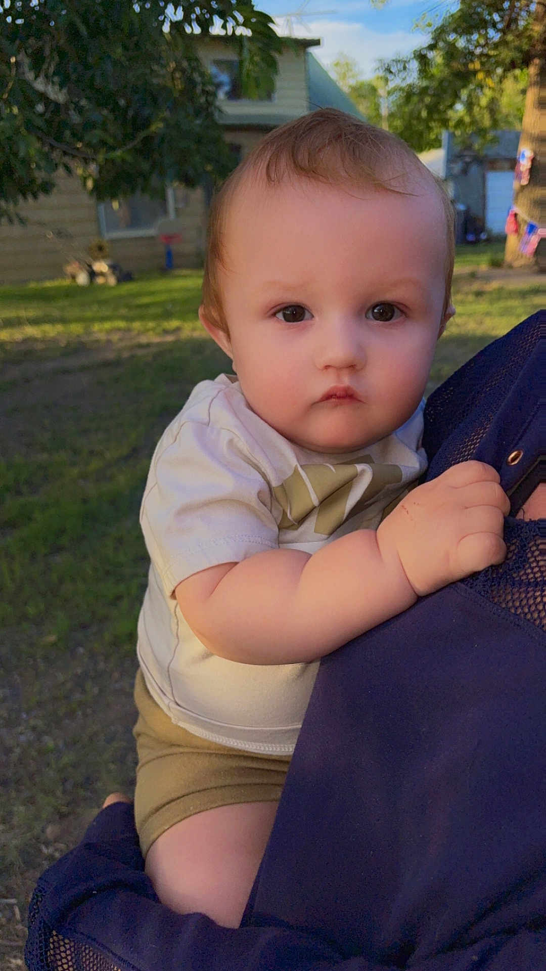 Arlo