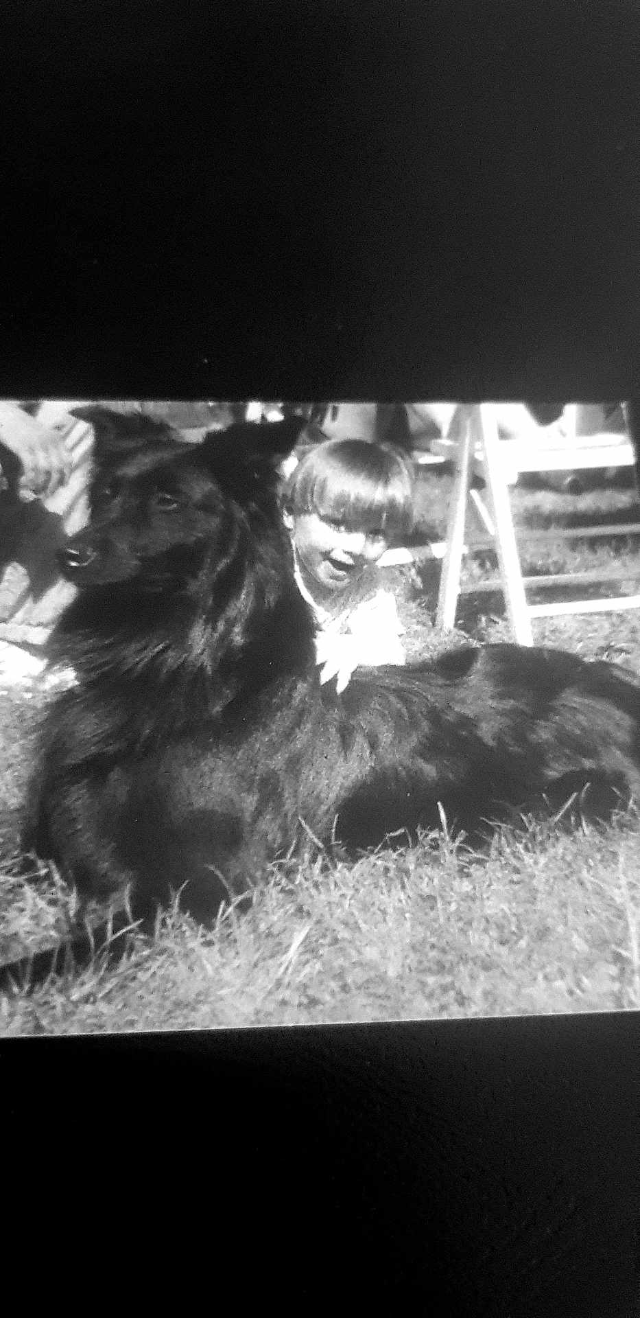 Gamin participe au concours pour gagner de l'argent avec cette photo : black_dog, child, grass, outdoor, vintage_photo, black_and_white, smiling, pet, dog, happy, playing, childhood, animal, grass_field, sunlight, chair, people, leisure, friendship, portrait