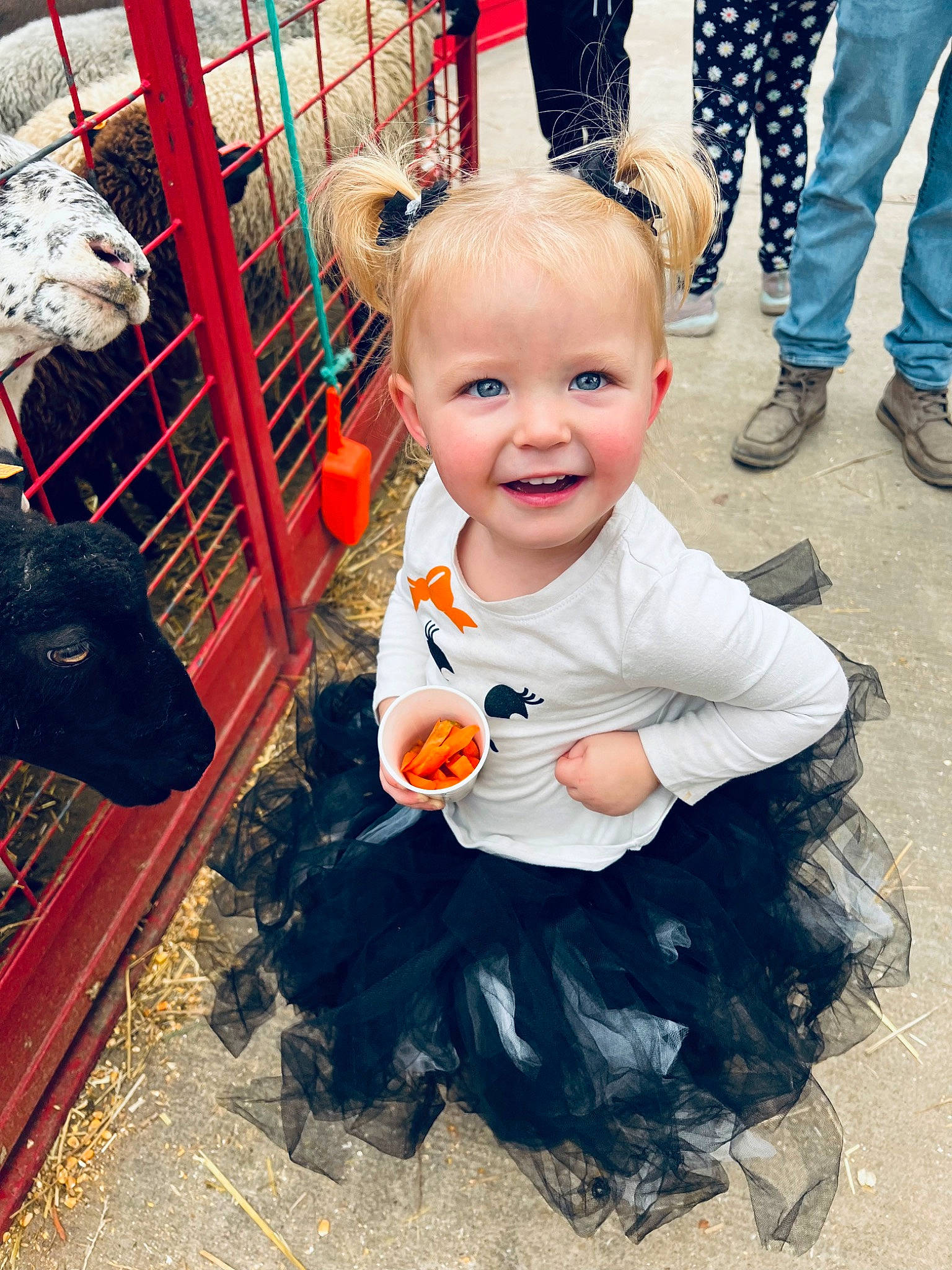 Payton joined the competition — help win amazing prizes! baby, baby_toddler_clothing, child, companion_dog, fun, fur, happy, joy, leisure, mammal, person, photograph, recreation, shoe, sitting, smile, snapshot, sneakers, standing, toddler