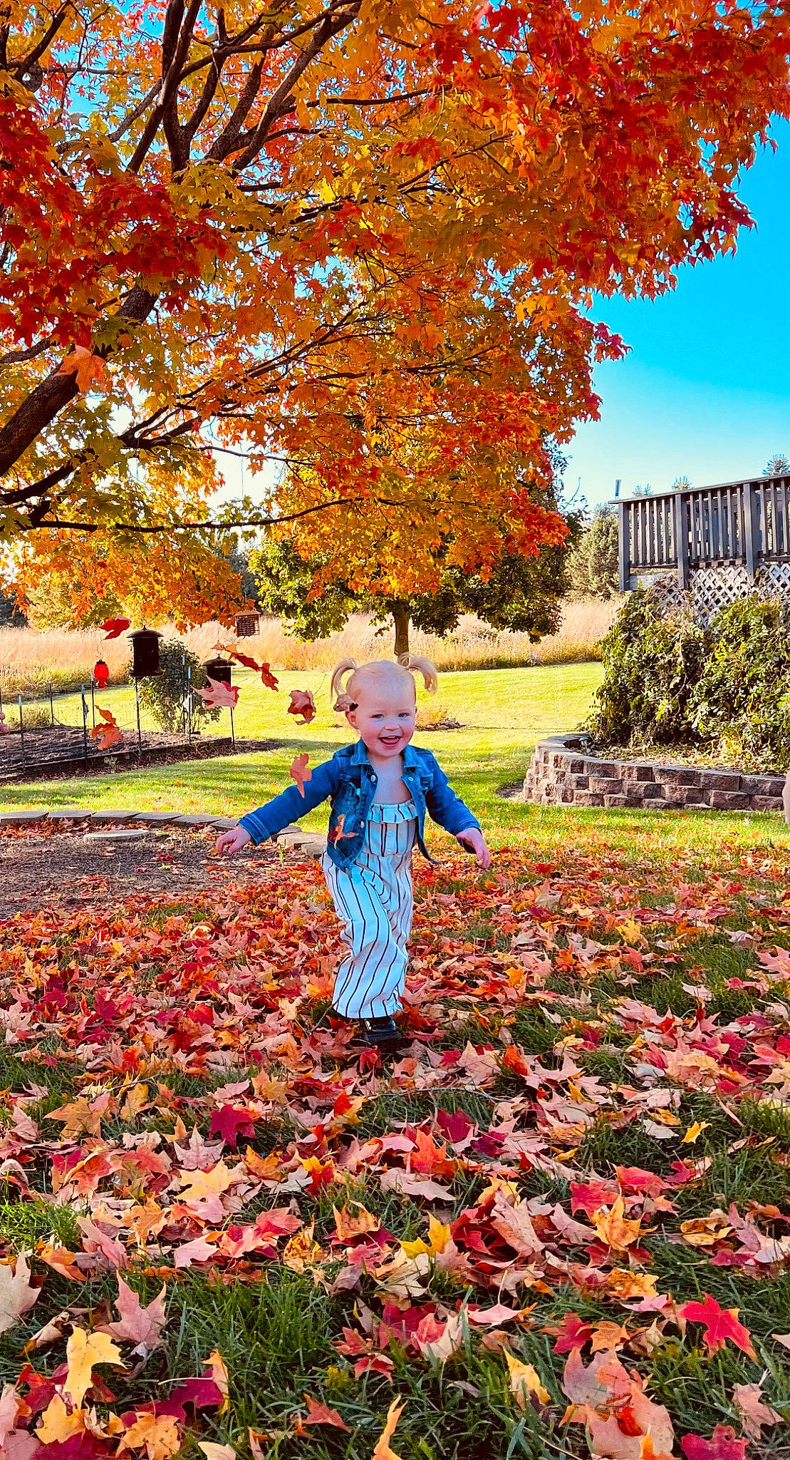 Payton joined the competition — help win amazing prizes! beauty, biome, botany, deciduous, garden, grass, happy, leaf, leisure, natural_landscape, nature, orange, people_in_nature, person, plant, red, sky, smile, tints_and_shades, tree