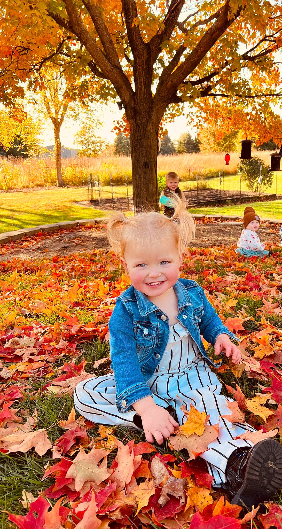 Payton is registered to the contest to win money with this photo: baby_toddler_clothing, botany, deciduous, flower, grass, happy, headwear, joy, leaf, leisure, nature, orange, people_in_nature, person, photograph, plant, playing_with_kids, red, smile, tints_and_shades