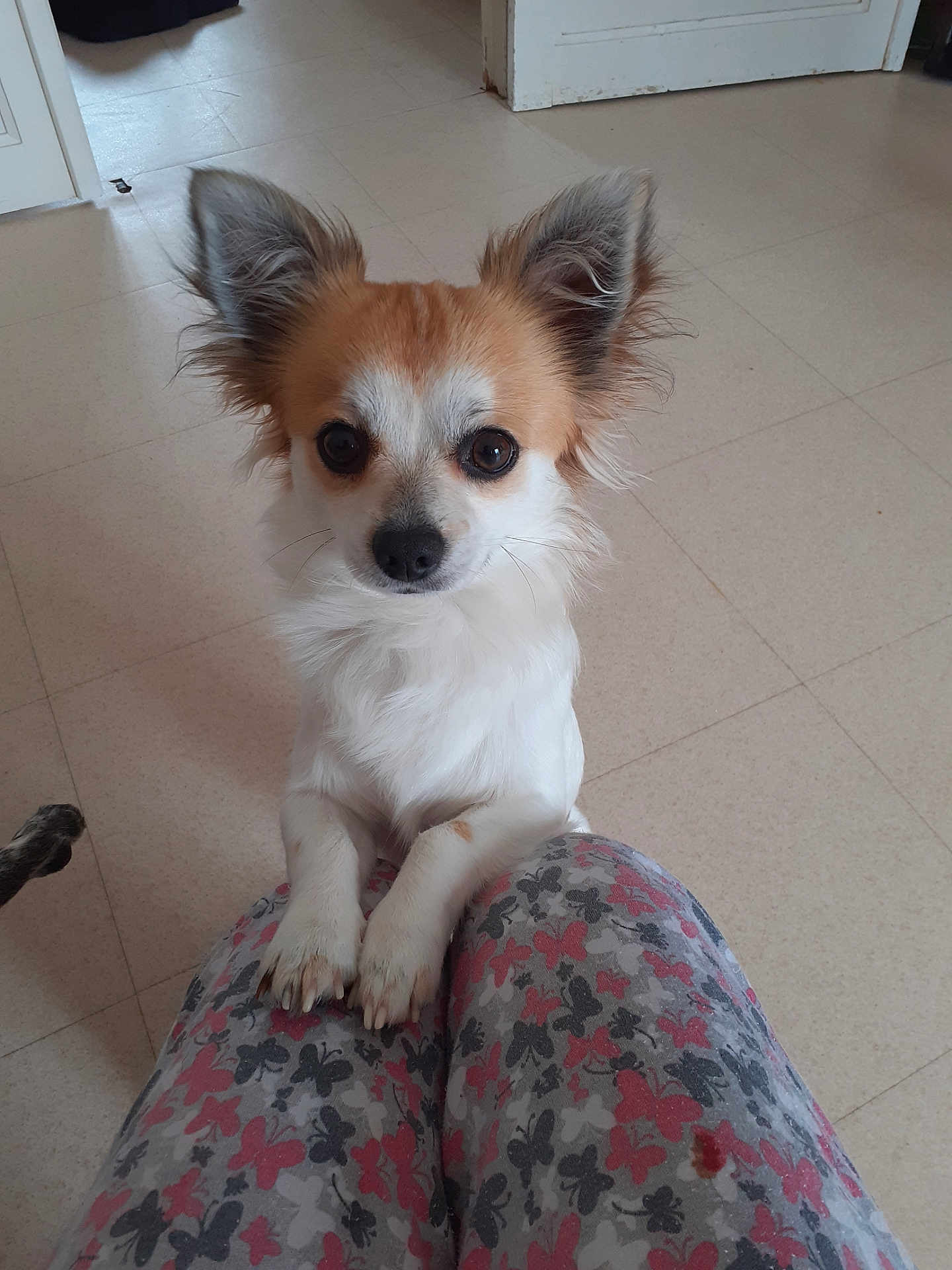 Oscar