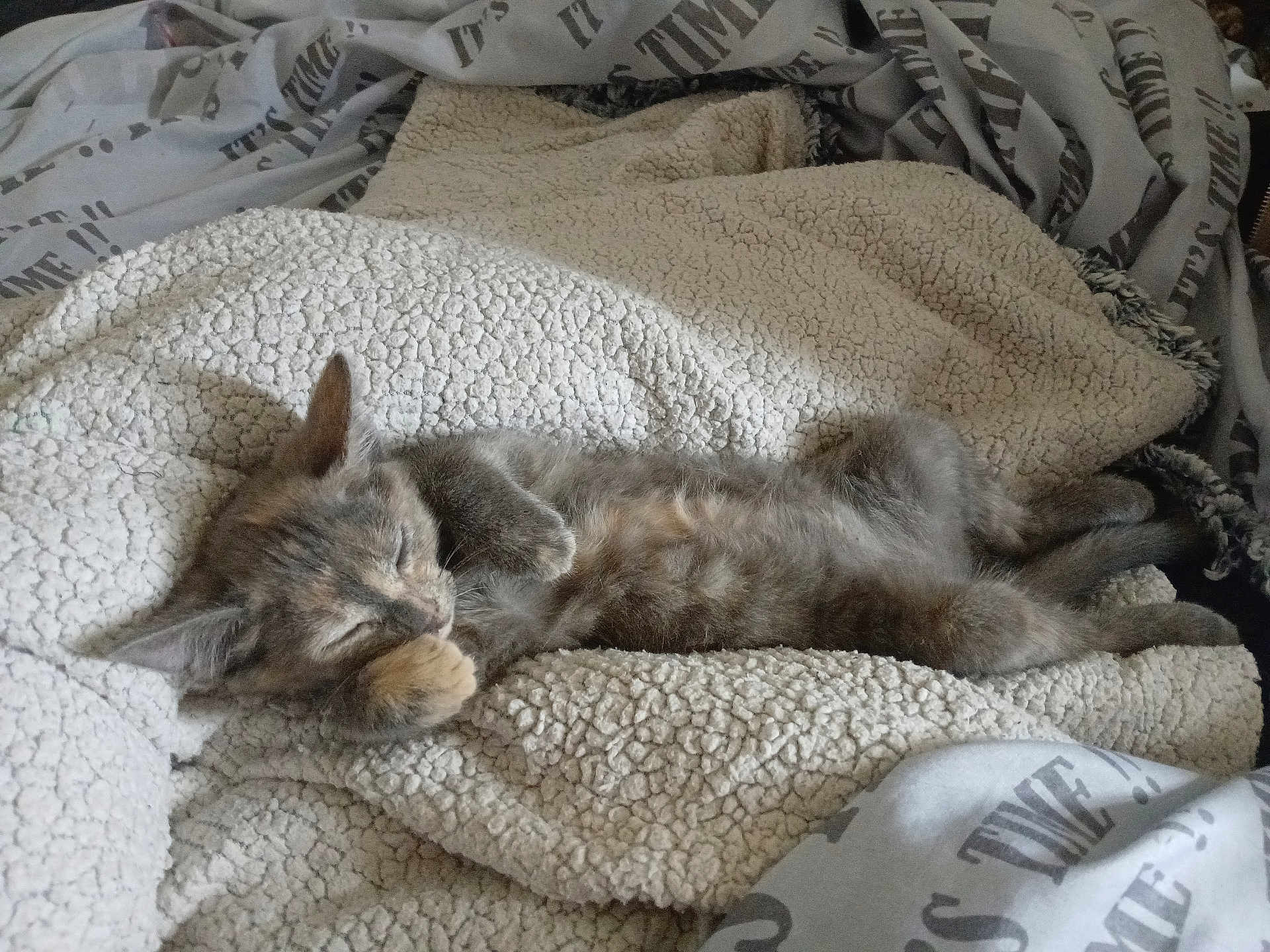 Nala