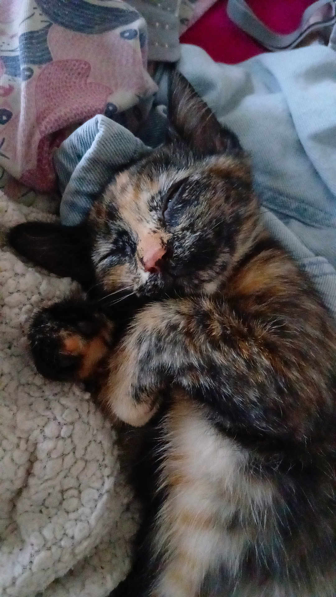 Cléo