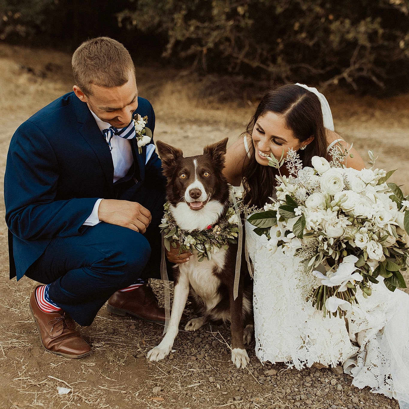 Rosie joined the competition — help win amazing prizes! bride, canidae, carnivore, ceremony, dog, dog_breed, dress, family, formal_wear, groom, love, male, photograph, rat_terrier, sporting_group, wedding, wedding_dress