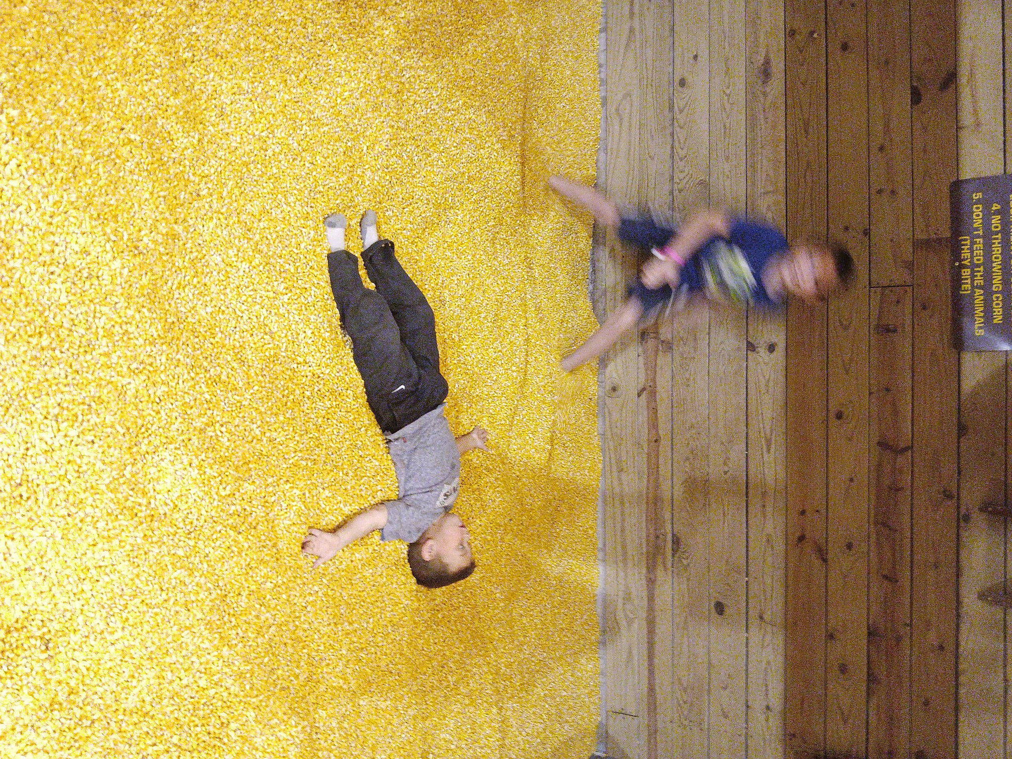 Braxten joined the competition — help win amazing prizes! adventure, ceiling, climbing, concrete, electric_blue, flooring, font, fun, hardwood, leisure, pattern, person, recreation, room, rope, shadow, tints_and_shades, wood, wood_stain