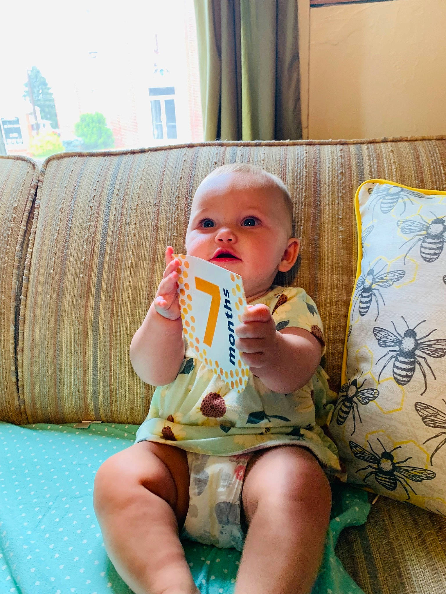 Echo joined the competition — help win amazing prizes! baby, baby_toddler_clothing, chair, cheek, child, comfort, couch, curtain, fun, human_leg, knee, lap, linens, person, room, sitting, skin, thigh, toddler, vacation