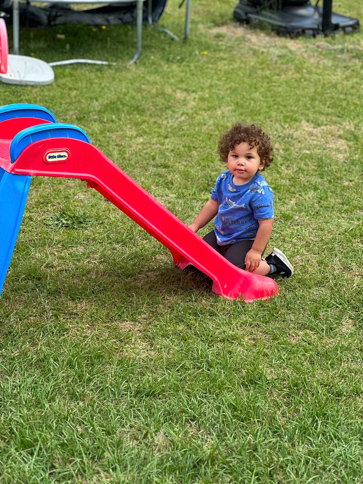 Lucas joined the competition — help win amazing prizes! chair, chute, city, fun, grass, grassland, lawn, leisure, outdoor_play_equipment, person, plant, plastic, play, playground_slide, recreation, shorts, soil, t_shirt, toddler, tree