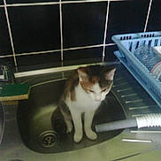 Krokette a rejoint le concours — aidez-le/la à gagner de superbes lots !