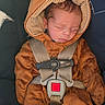Ronin joined the competition — help win amazing prizes! baby, child, infant, car_seat, bear_costume, sleeping, cute, cozy, seatbelt, brown, clothing, hood, toddler, car_interior, safety, resting, adorable, person, young_child, nap