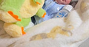 Ronin is registered to the contest to win money with this photo: newborn, baby, sleeping, blanket, bottle, plush_toy, dinosaur, cozy, bedtime, infant, soft, cute, indoors, comfort, child, rest, peaceful, clothing, pillow, fabric