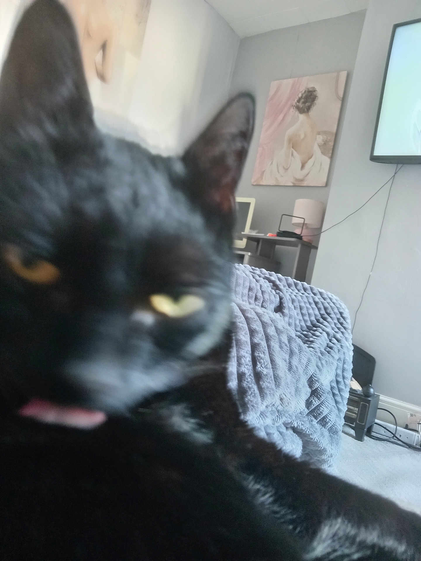 Sam