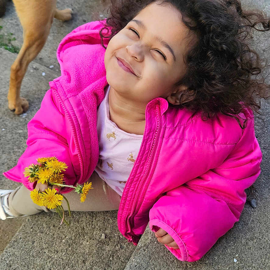 Emmalynn is registered to the contest to win money with this photo: casual_clothing, child, concrete, curly_hair, cute, dandelions, daylight, dog, flowers, grass, happy, nature, outdoor, person, pet, pink_jacket, playful, sidewalk, sitting, smiling