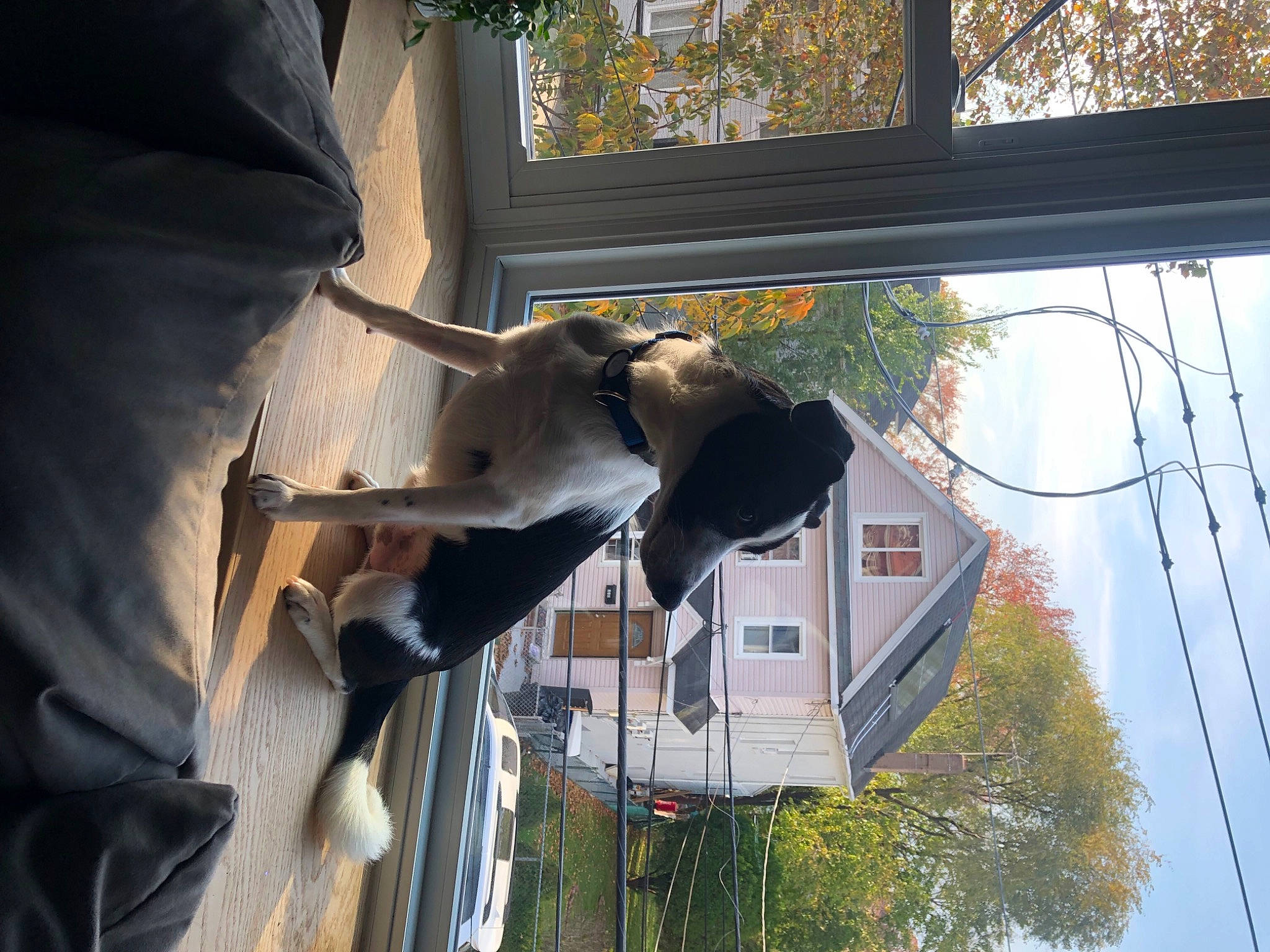 Castle is registered to the contest to win money with this photo: building, door, facade, fun, glass, house, leisure, plant, sky, tire, tree, wheel, window, wood, yellow