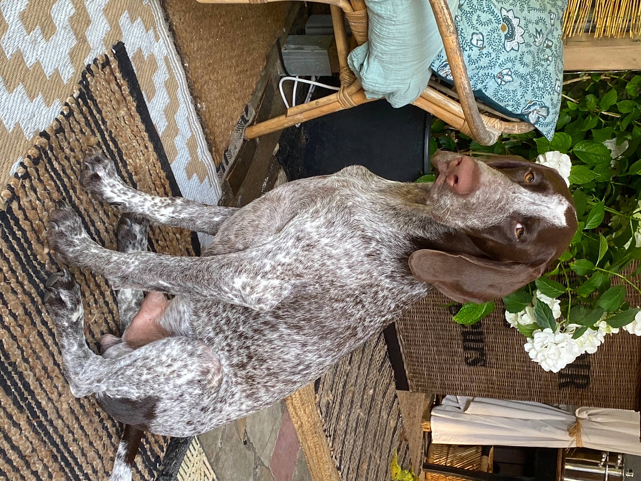 Stanislas participe au concours pour gagner de l'argent avec cette photo : art, carving, dress, fun, fur, lawn_ornament, leisure, metal, monument, pattern, plant, sculpture, statue, tree, trunk, visual_arts, window, wood