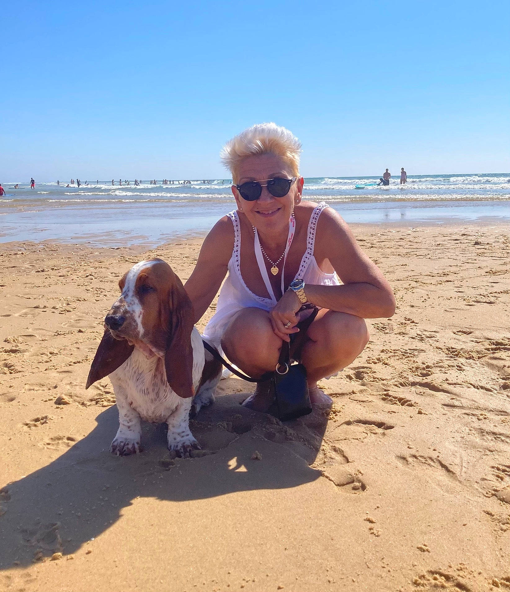 Sa Paulette participe au concours pour gagner de l'argent avec cette photo : beach, carnivore, companion_dog, dog, dog_breed, eyewear, fawn, glasses, goggles, happy, landscape, leisure, mammal, people_on_beach, sky, sunglasses, travel, vertebrate, vision_care, water