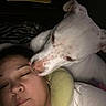 Lola joined the competition — help win amazing prizes! affection, animal, casual, close_up, comfort, cuddle, dog, face, friendship, human, indoor, laying_down, love, nose, person, pet, portrait, resting, sleepy, white_dog