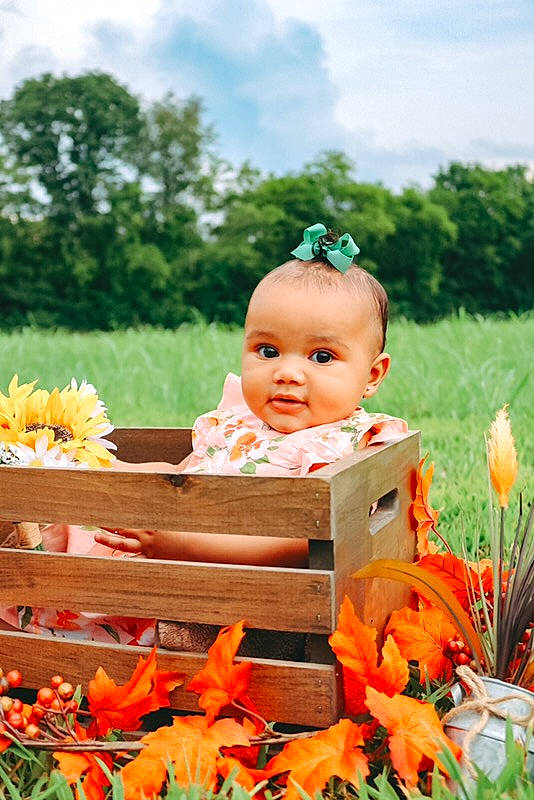 Camille is registered to the contest to win money with this photo: baby, child, eye, flower, garden, grass, happy, meadow, orange, peach, person, photography, plant, product, pumpkin, sitting, summer, toddler, vacation, yellow