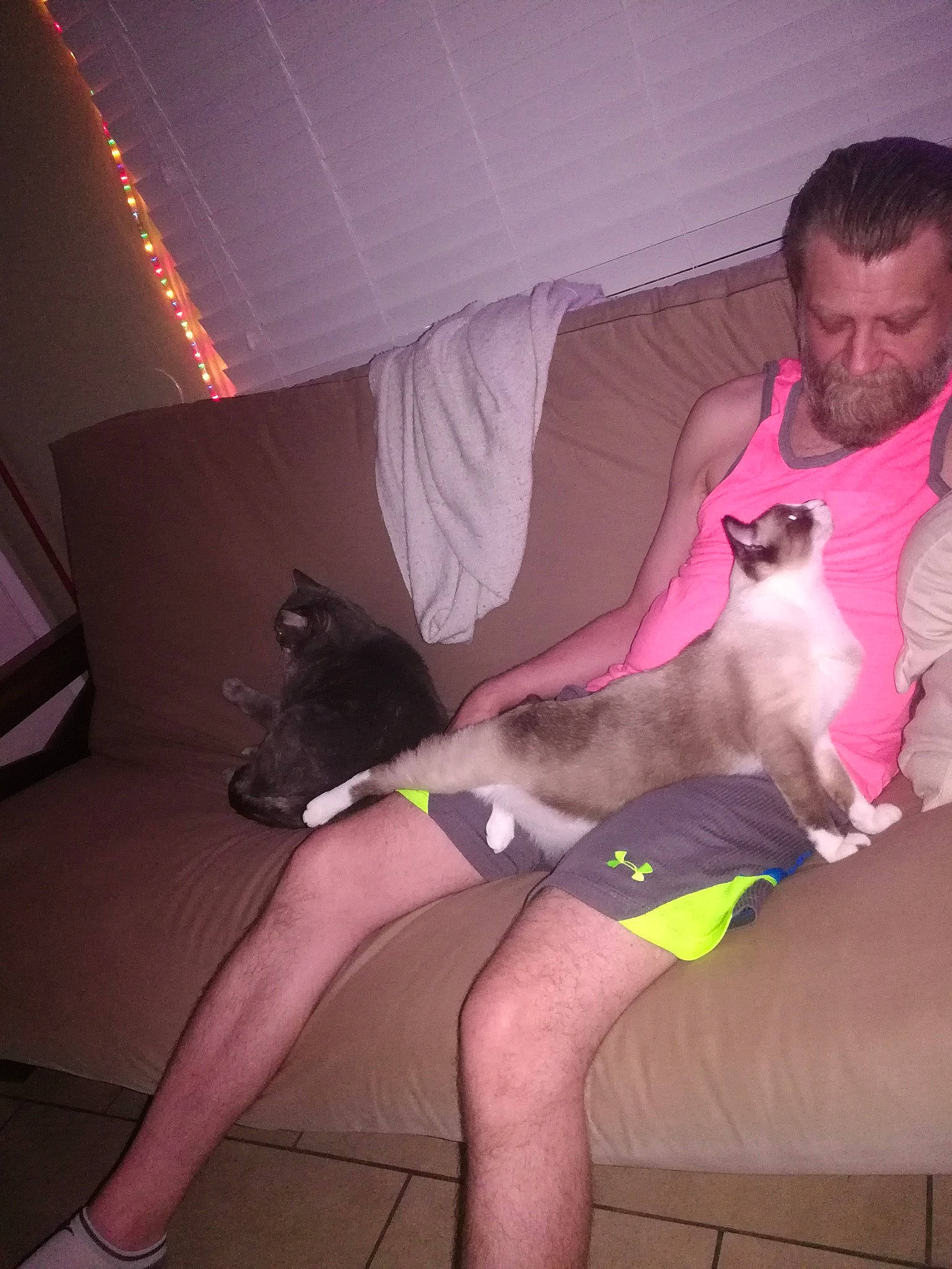 Burt Reynolds is registered to the contest to win money with this photo: carnivore, cat, comfort, companion_dog, couch, dog_breed, fawn, interaction, knee, lap, leg, magenta, mammal, mouth, neck, organ, pink, shoulder, thigh, trunk