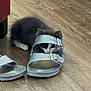 animal, cat, closeup, curious, cute, domestic_animal, floor, flooring, footwear, furniture_leg, hiding, household, indoor, kitten, pet, playful, sandal, white, wooden_floor, young_cat