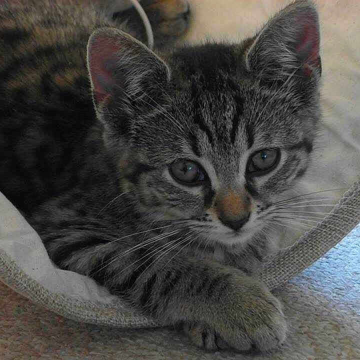 Willow is registered to the contest to win money with this photo:
