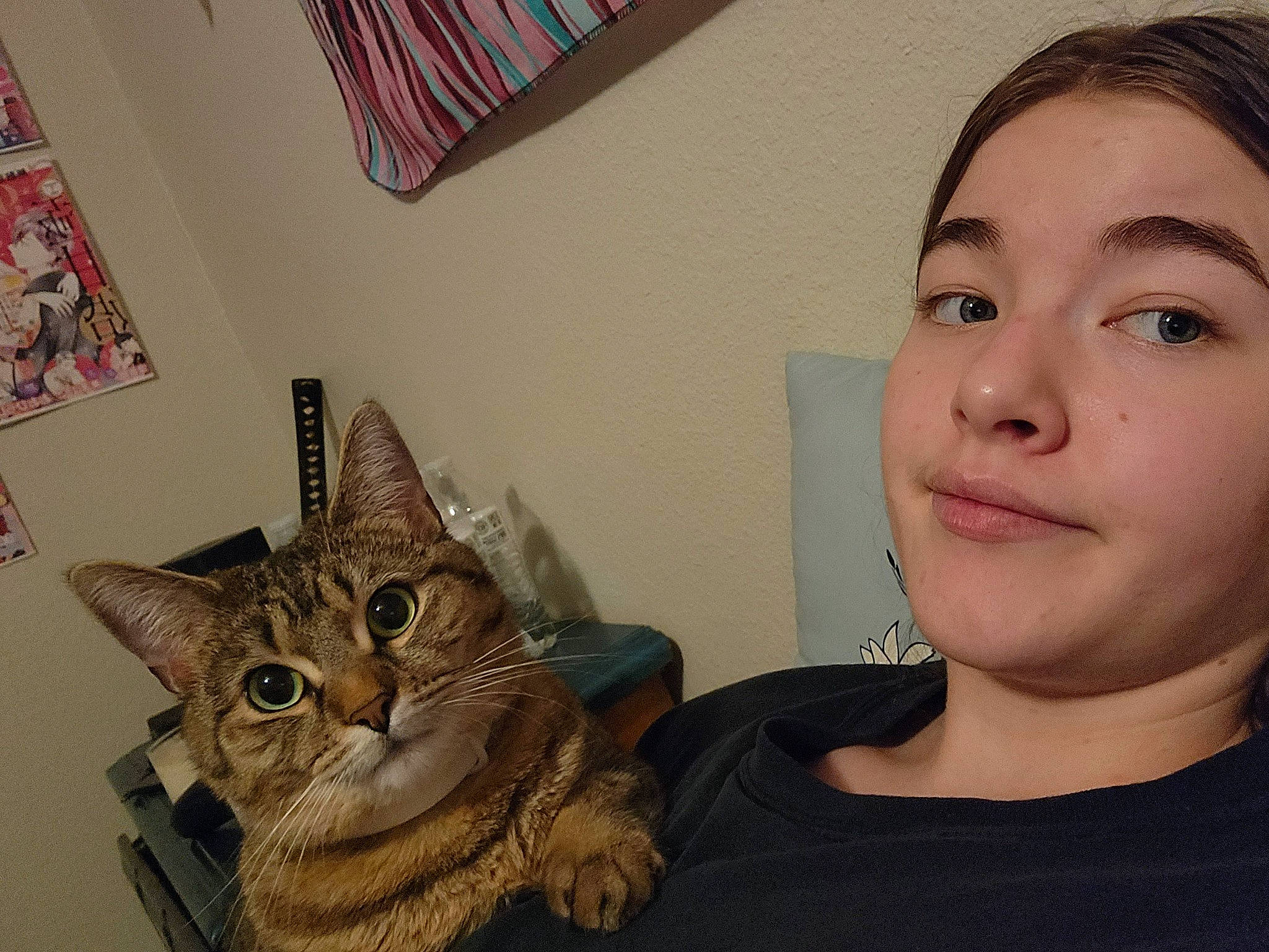 Luna joined the competition — help win amazing prizes! carnivore, cat, ear, eye, eyelash, felidae, fur, gesture, happy, head, iris, jaw, neck, organ, selfie, skin, small_to_medium_sized_cats, snout, t_shirt, whiskers