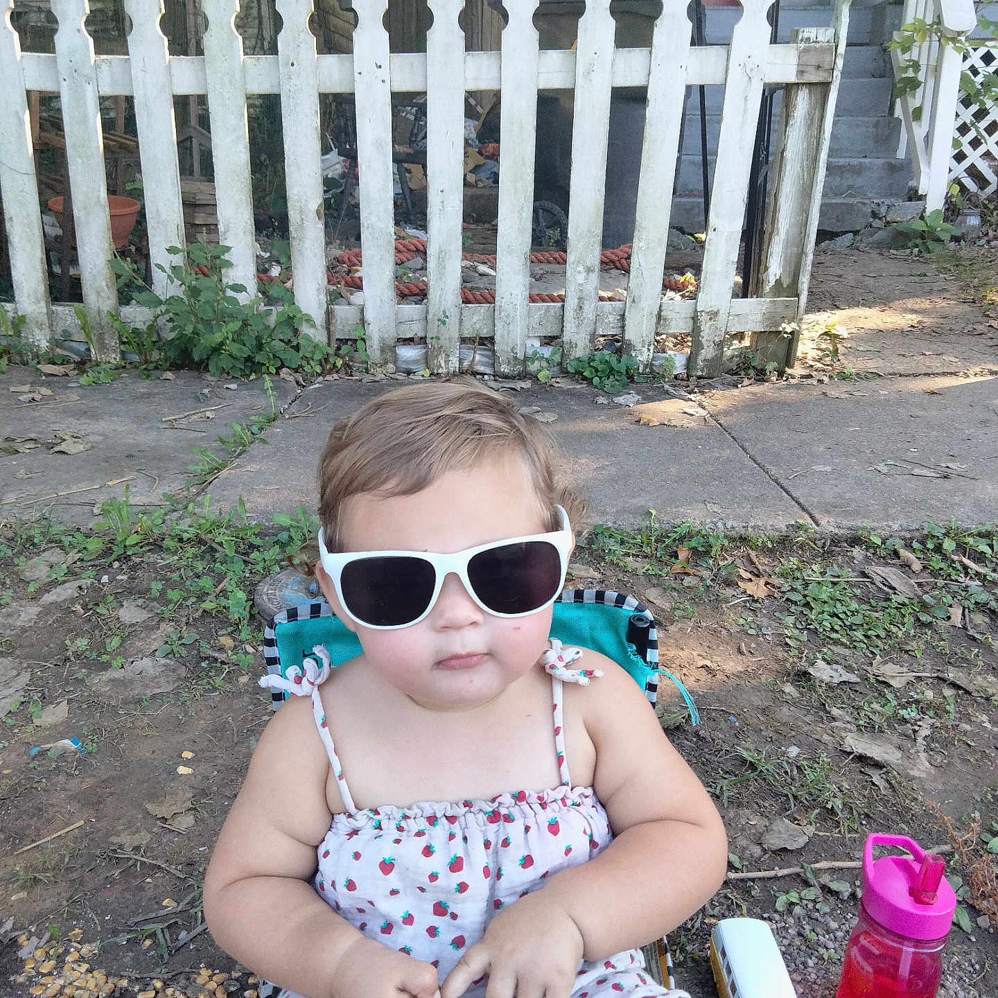 Remi joined the competition — help win amazing prizes! accessories, baby, backyard, electronics, face, fence, glasses, grass, head, mobilephone, nature, outdoors, person, phone, photography, picket, plant, portrait, sunglasses, yard