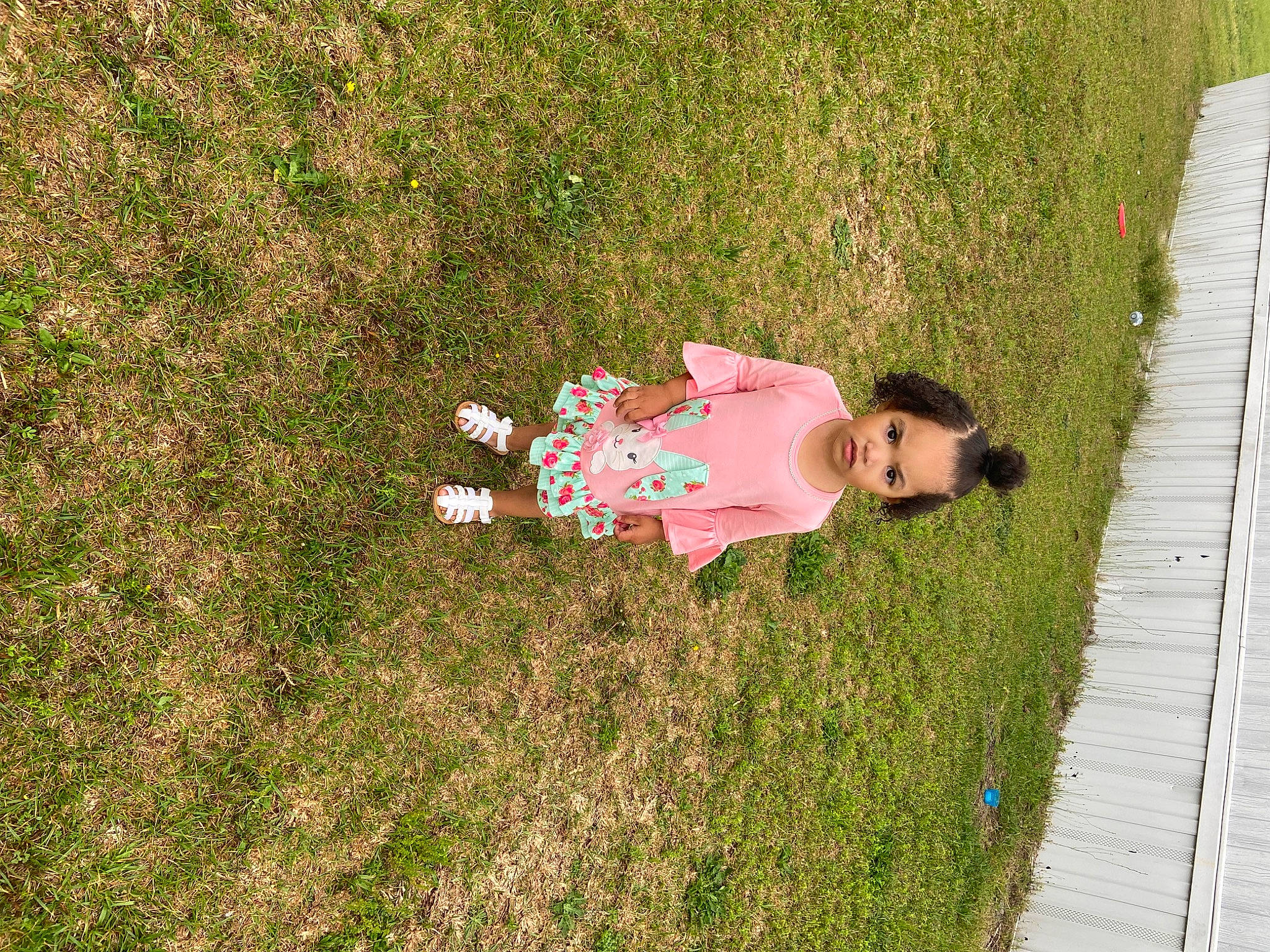 London is registered to the contest to win money with this photo: child, flooring, fun, garden, grass, grass_family, grassland, groundcover, happy, landscape, lawn, leisure, people_in_nature, person, plant, recreation, shrub, sidewalk, toddler, tree