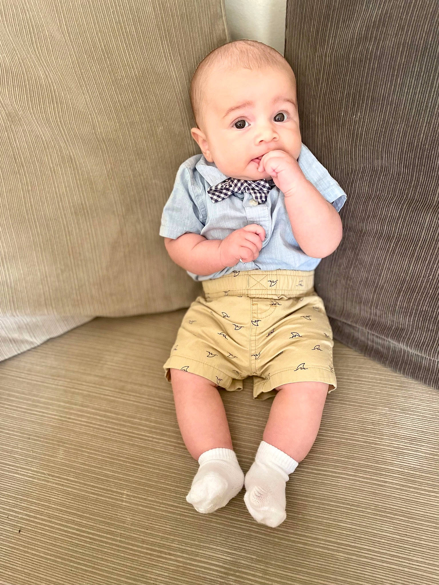 Jamari is registered to the contest to win money with this photo: baby, baby_toddler_clothing, cheek, child, chin, collar, comfort, eye, finger, human_leg, iris, knee, neck, pattern, person, shorts, skin, sleeve, t_shirt, thigh