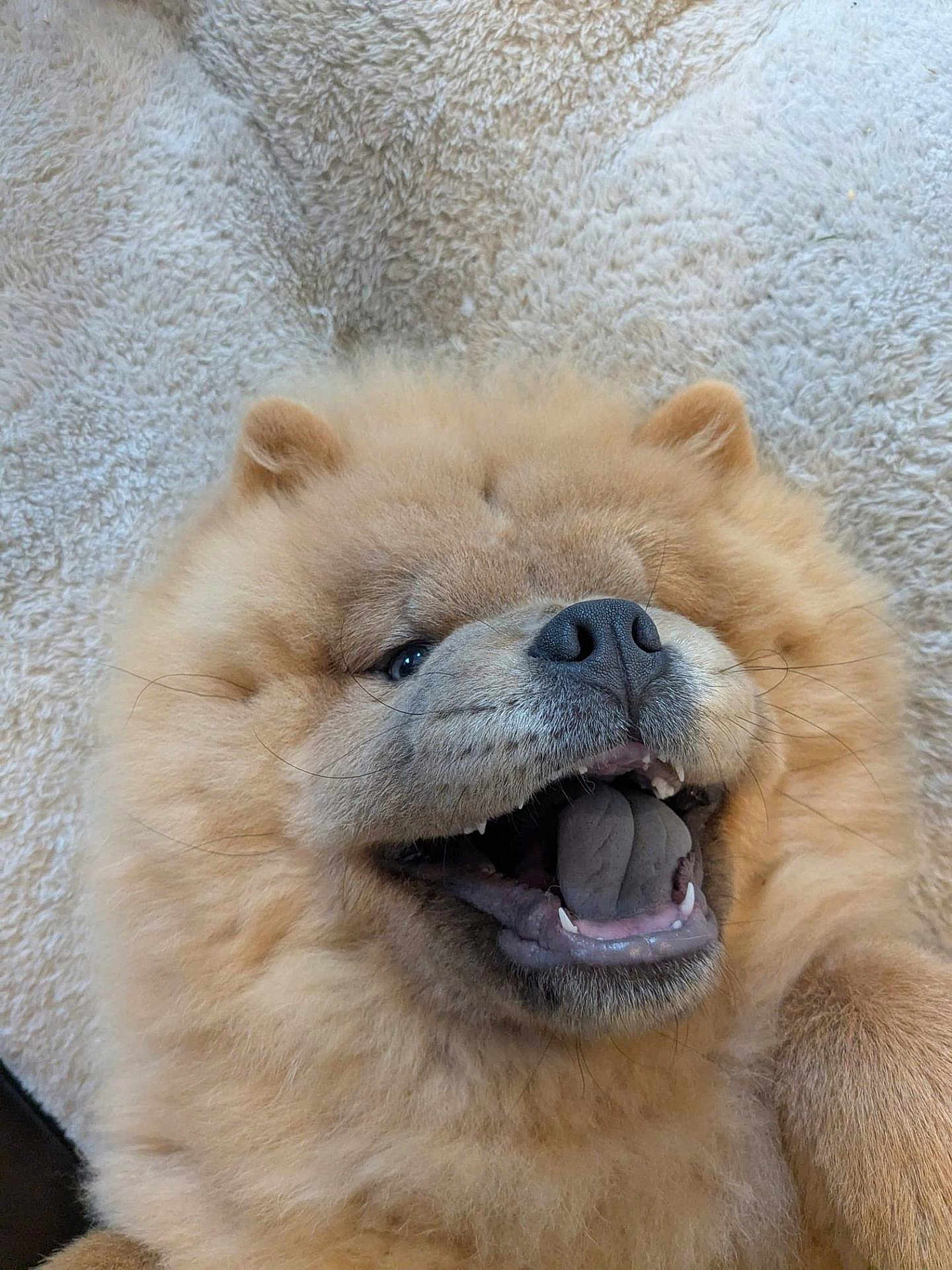 Nala