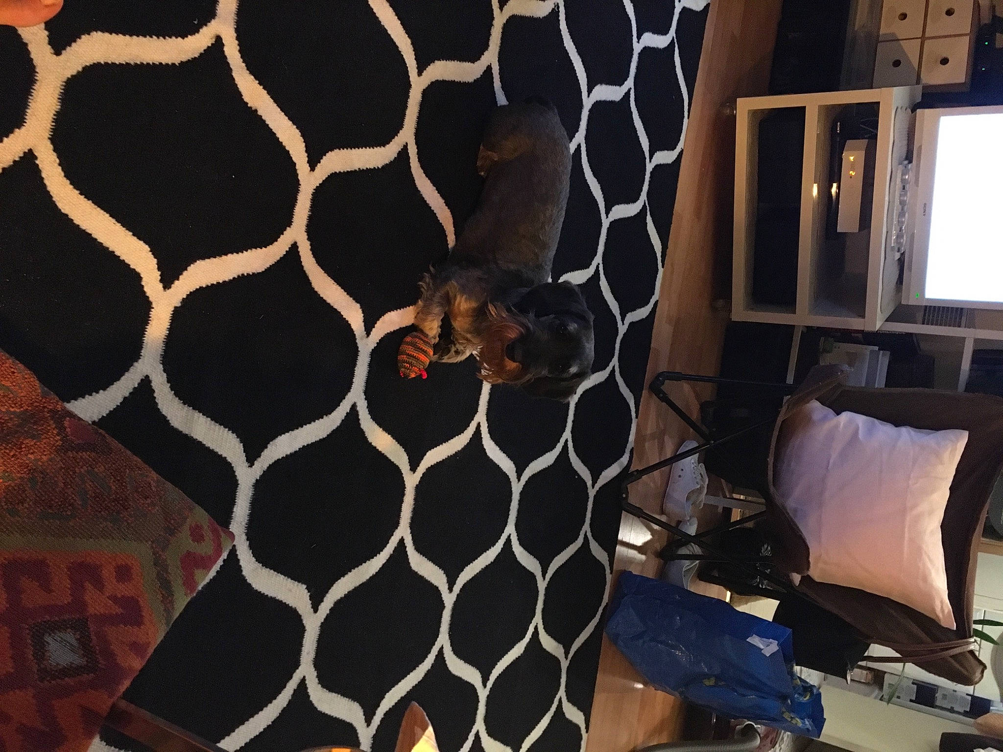 Leo participe au concours pour gagner de l'argent avec cette photo : animal_product, beehive, honeybee, honeycomb, mesh, natural_material, pattern, wire_fencing