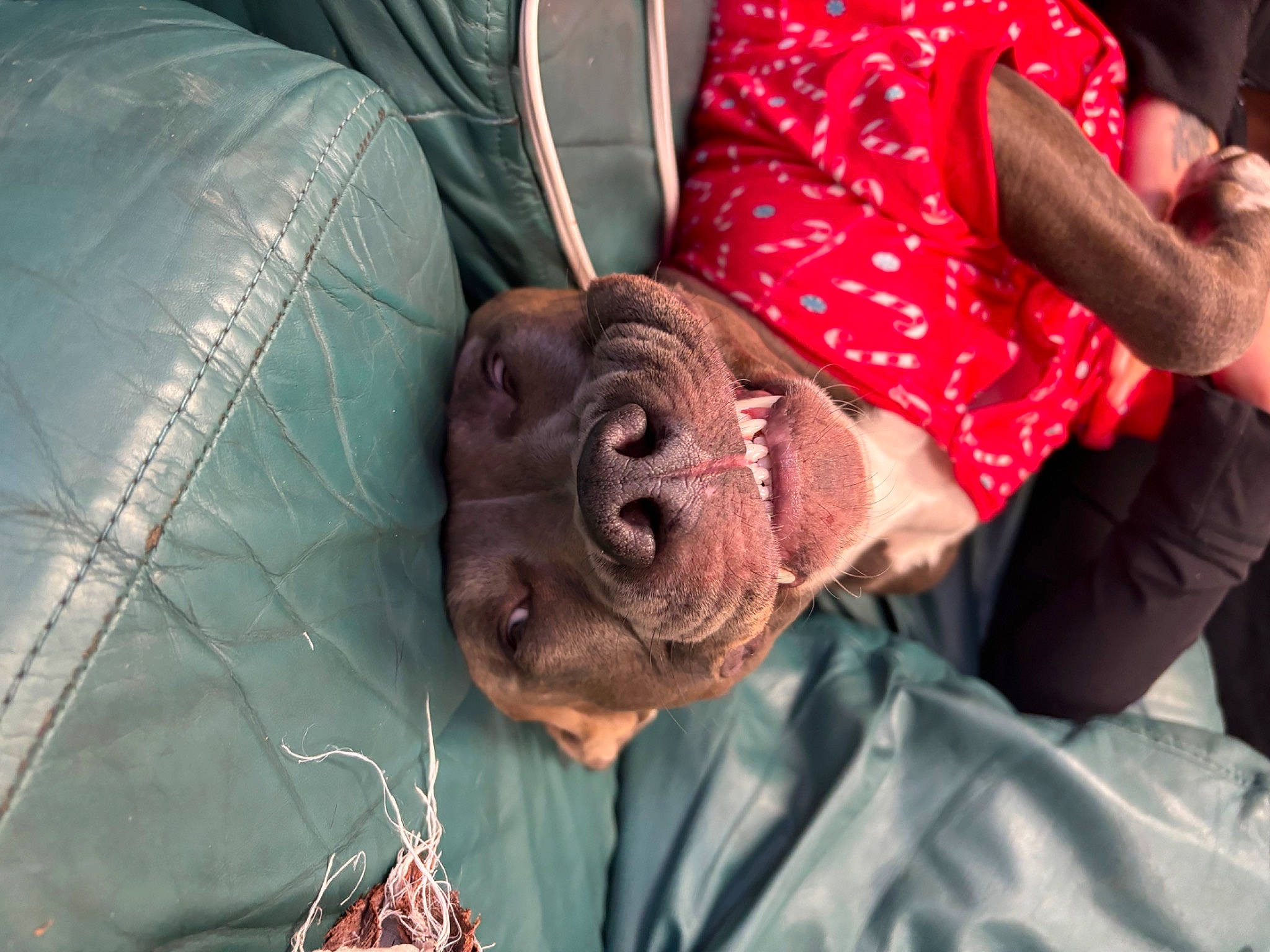 Nylah is registered to the contest to win money with this photo: beard, comfort, elbow, facial_hair, flesh, fun, gesture, jaw, mouth, pattern, sporting_group, tradition, wrinkle