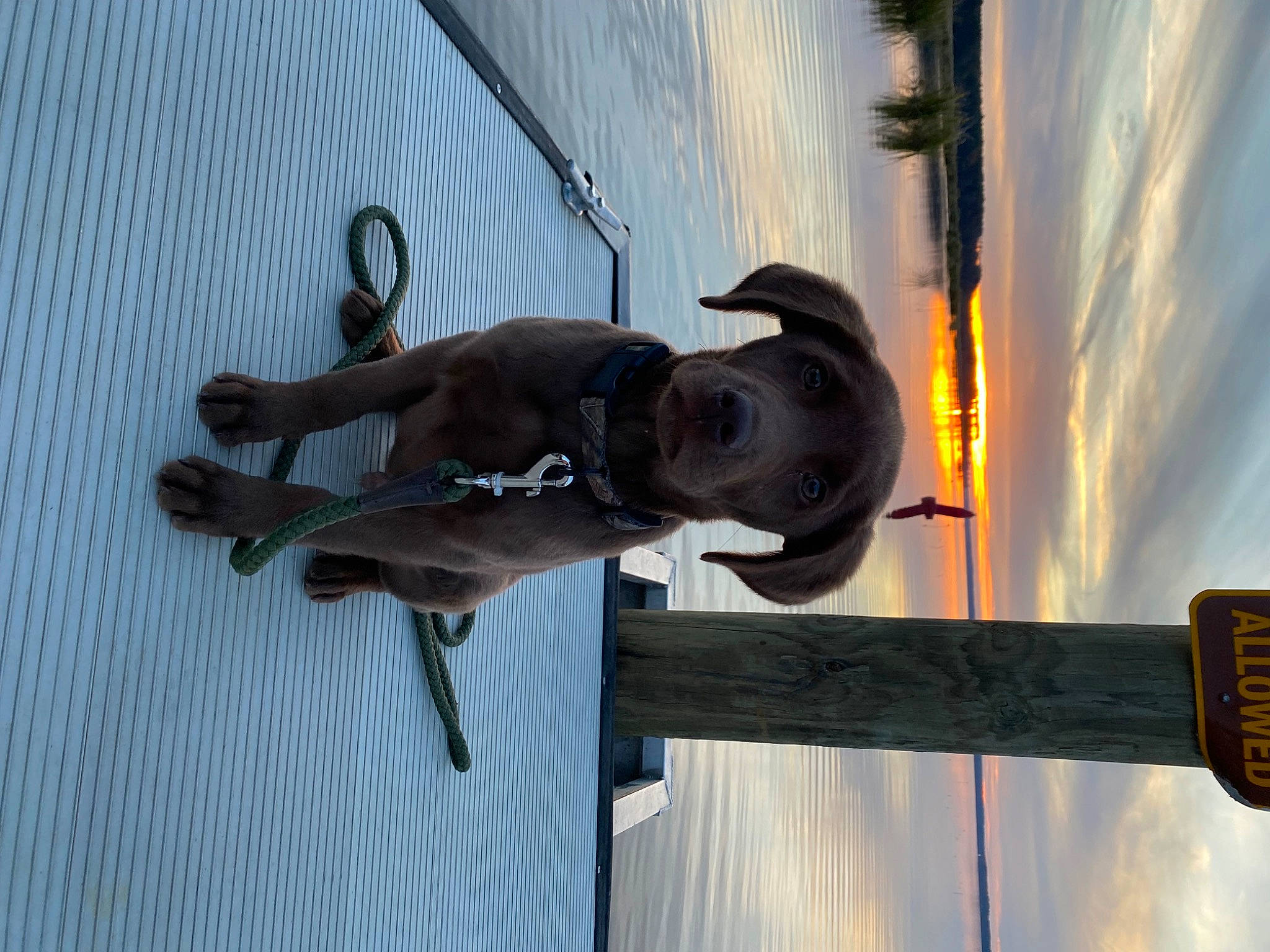 Kodak is registered to the contest to win money with this photo: cloud, composite_material, elbow, gas, hat, metal, sky, water, wood