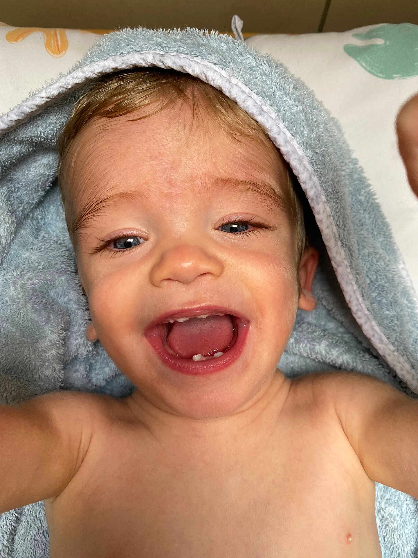 Malo participe au concours pour gagner de l'argent avec cette photo : baby, child, towel, blue, smiling, teeth, happy, face, skin, mouth, eyes, expression, closeup, portrait, infant, cute, bare_shoulders, indoor, light, soft_texture