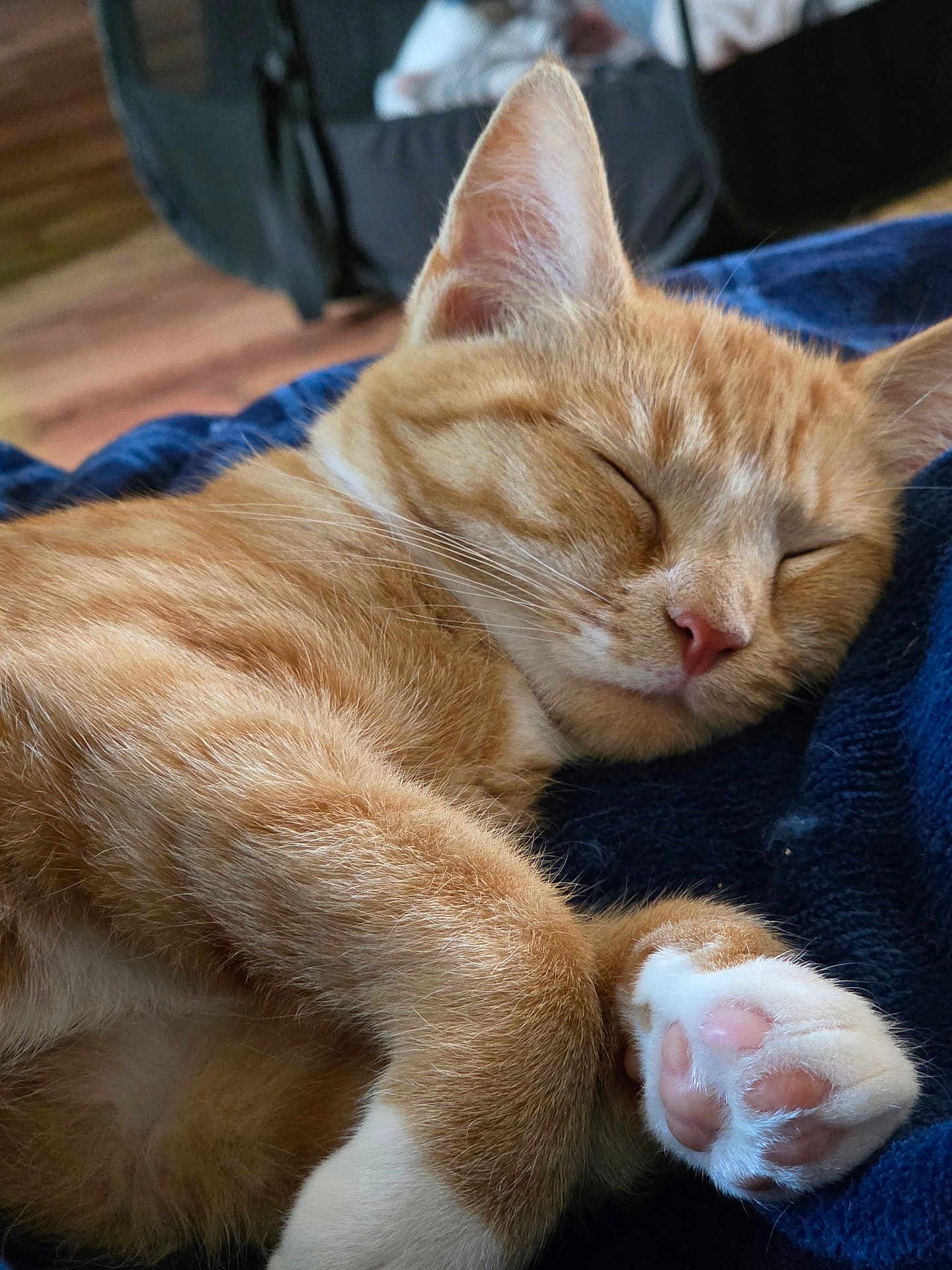 Nala