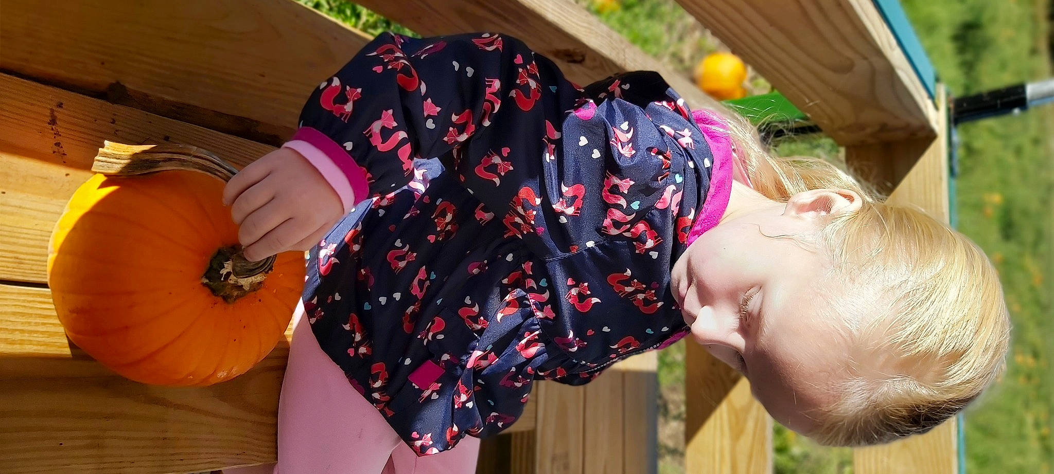 Victoria is registered to the contest to win money with this photo: calabaza, child, fruit, fun, gourd, grass, happy, leisure, magenta, orange, pattern, peach, person, plant, pumpkin, spring, t_shirt, toddler, tree, vacation