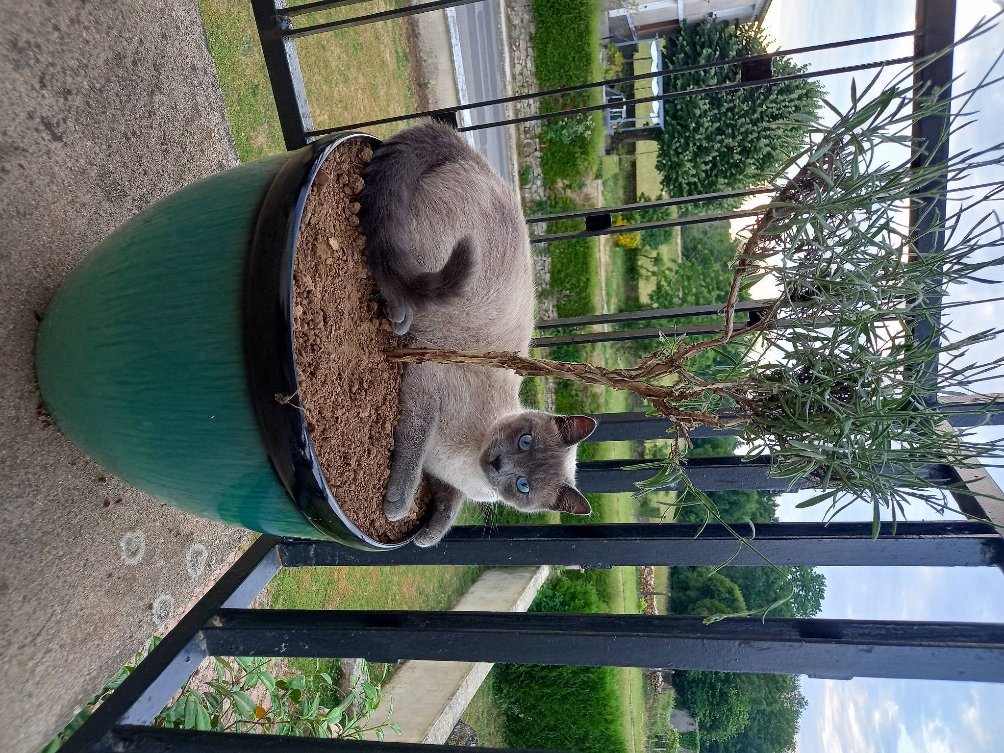 Twix a rejoint le concours — aidez-le/la à gagner de superbes lots ! automotive_wheel_system, bicycle_wheel, grass, hat, line, marsupial, mesh, metal, plant, snout, terrestrial_animal, tire, tree, trunk, wheel, wildlife, wood