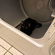 Onyx joined the competition — help win amazing prizes! cat, black_cat, dryer, appliance, indoor, floor, tile_floor, curious, pet, animal, home, domestic, yellow_eyes, shadow, open_door, clean, quiet, cozy, kitten, resting