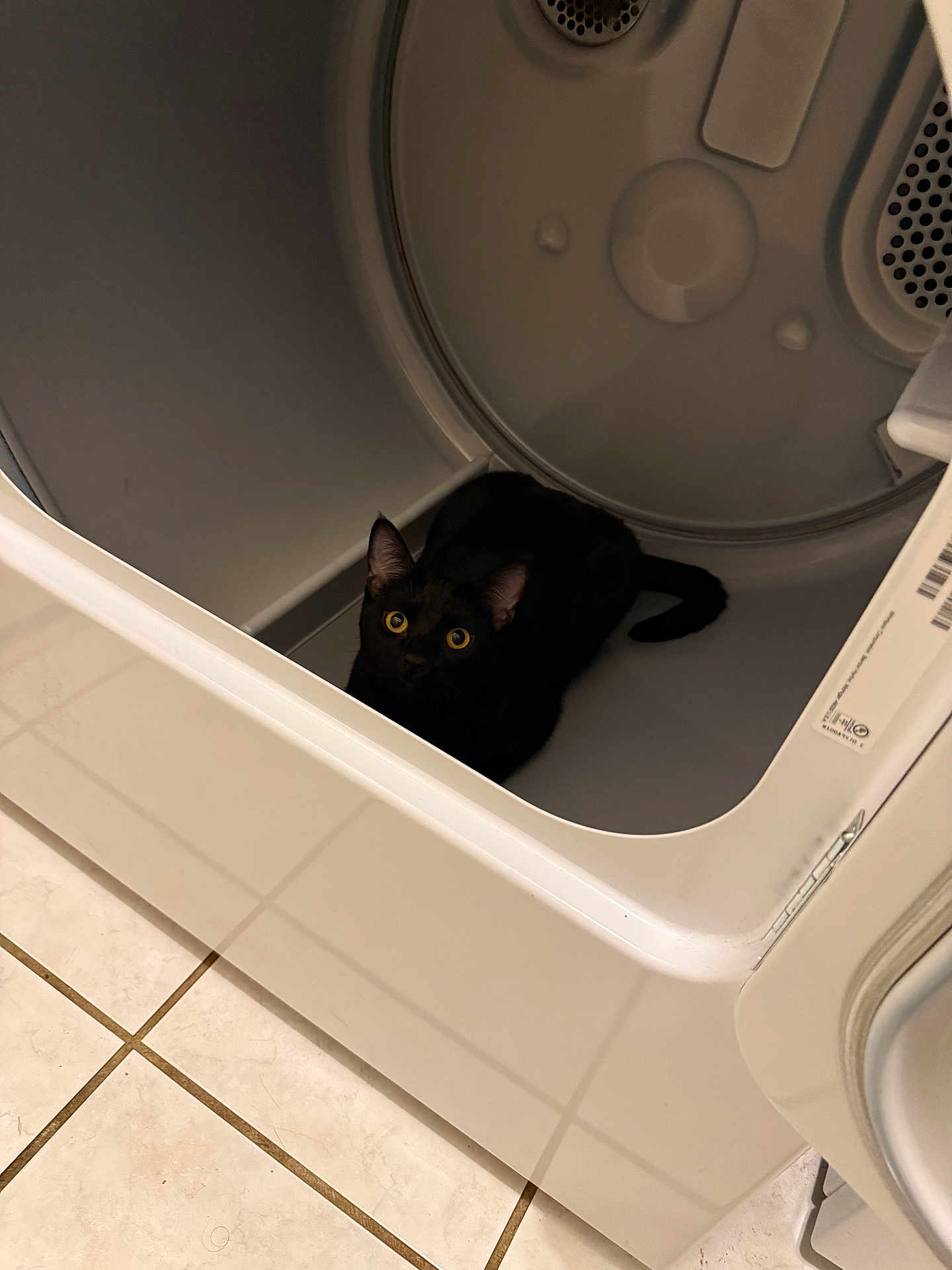 Onyx joined the competition — help win amazing prizes! cat, black_cat, dryer, appliance, indoor, floor, tile_floor, curious, pet, animal, home, domestic, yellow_eyes, shadow, open_door, clean, quiet, cozy, kitten, resting