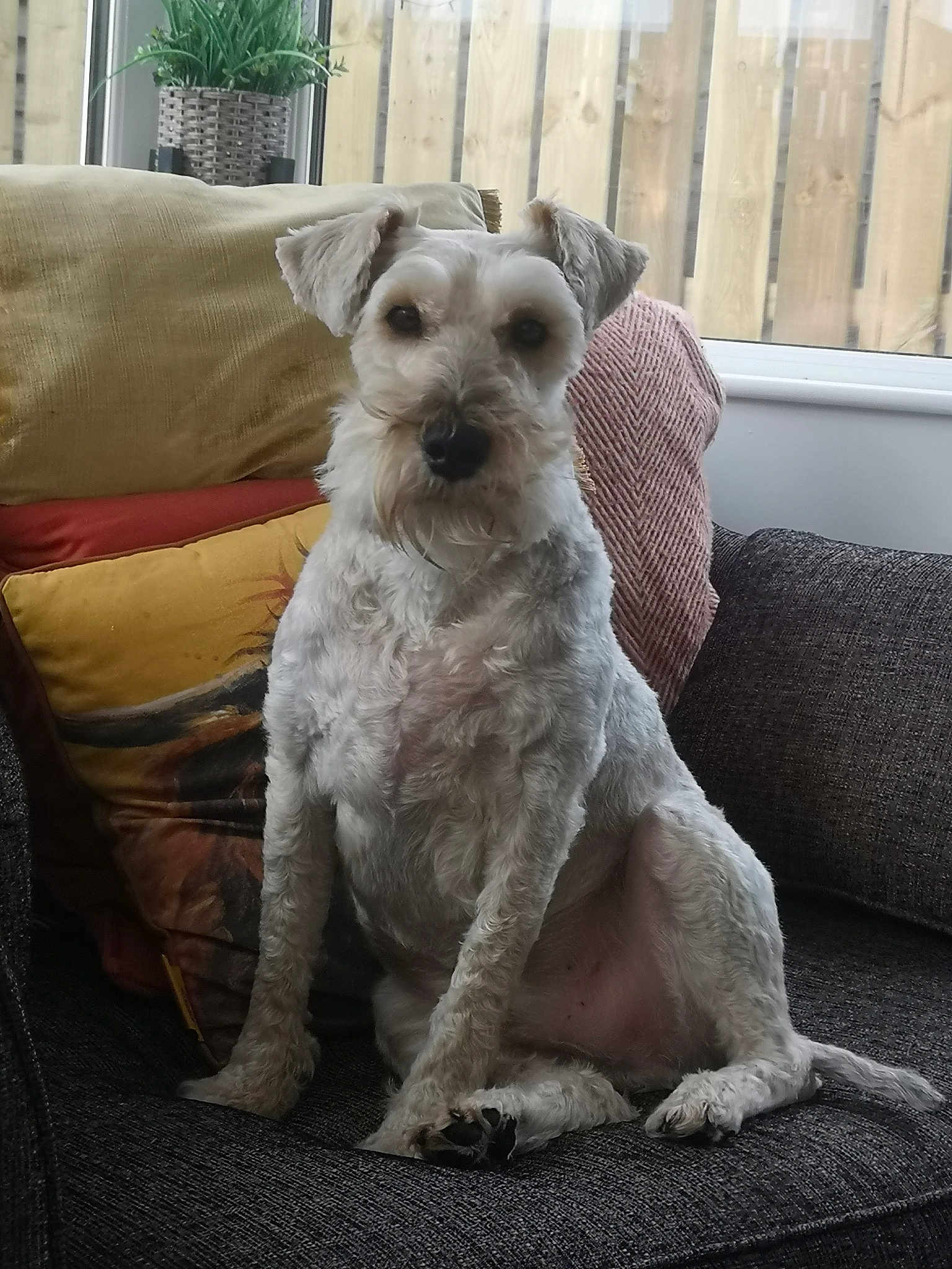 Stanley