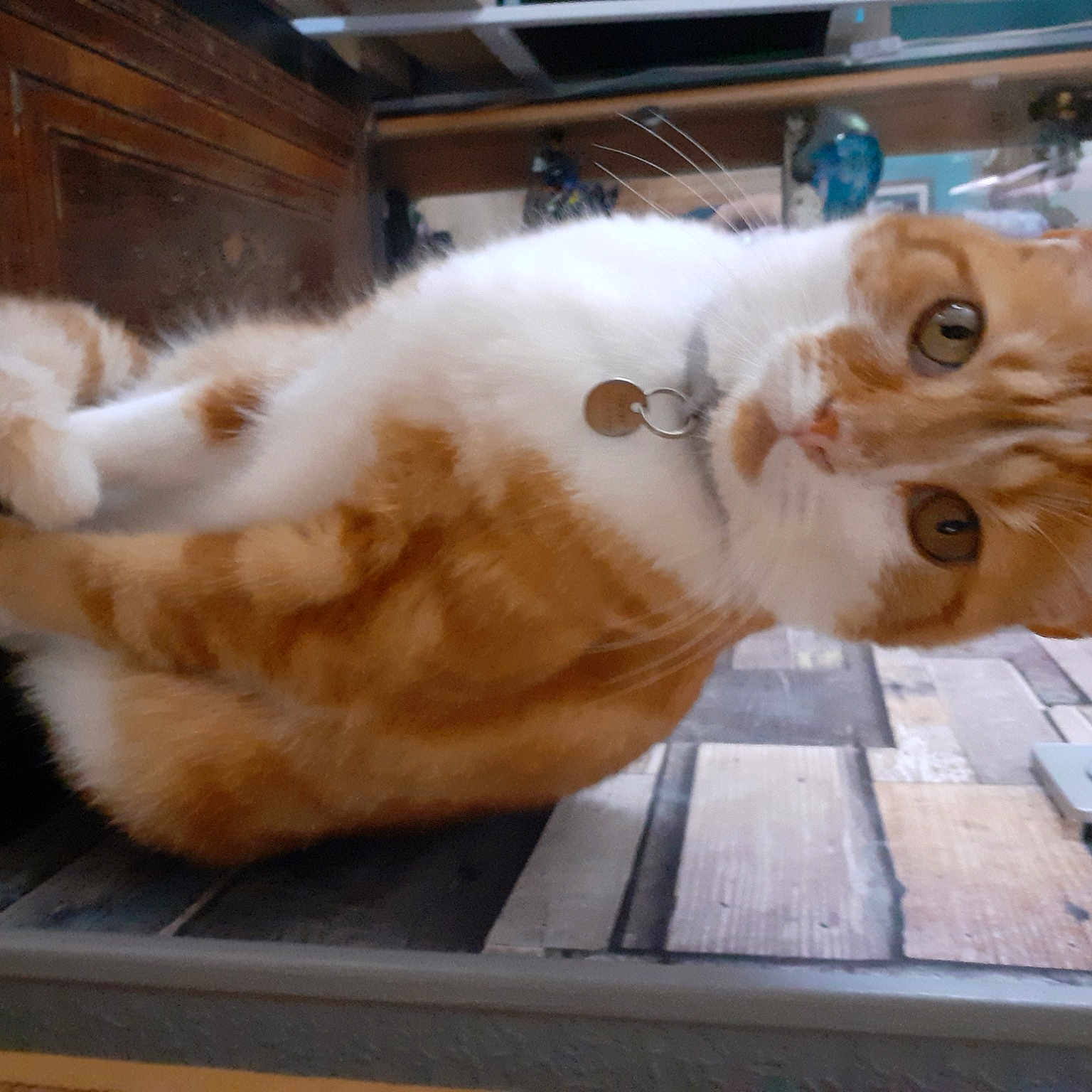Toffee