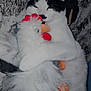 animal, black_and_white_cat, cat, chicken_toy, close_up, cuddling, cute, ears, feline, fur, hugging, indoor, pet, plush_toy, relaxing, resting, sleepy, soft_toy, stuffed_animal, whiskers