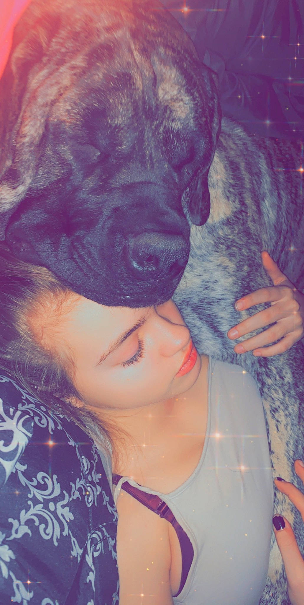 Delilah joined the competition — help win amazing prizes! art, beauty, black_hair, canidae, carnivore, companion_dog, dog, dog_breed, electric_blue, fawn, fur, gesture, happy, hat, long_hair, magenta, pink, purple, selfie, working_animal