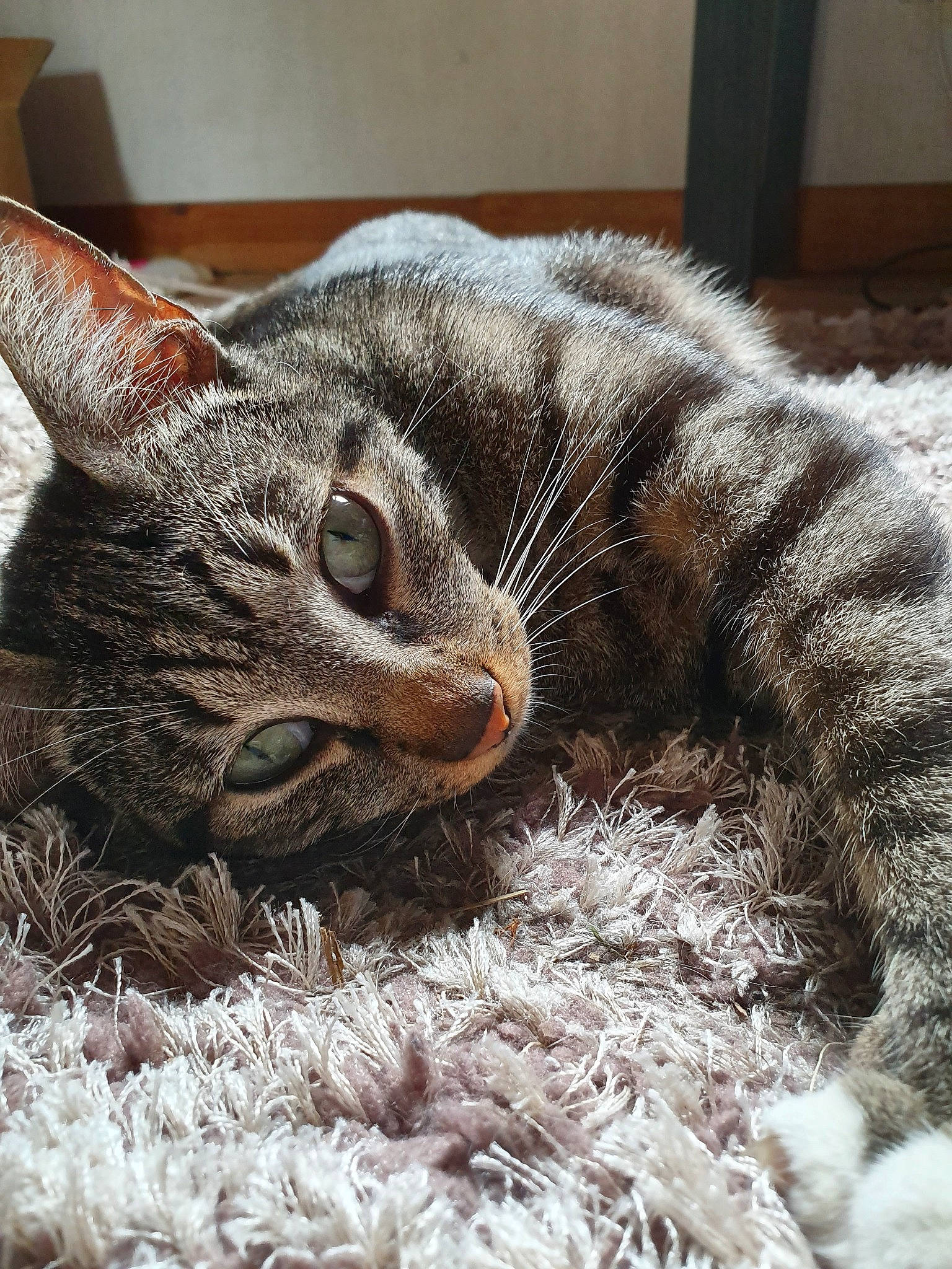 Niro