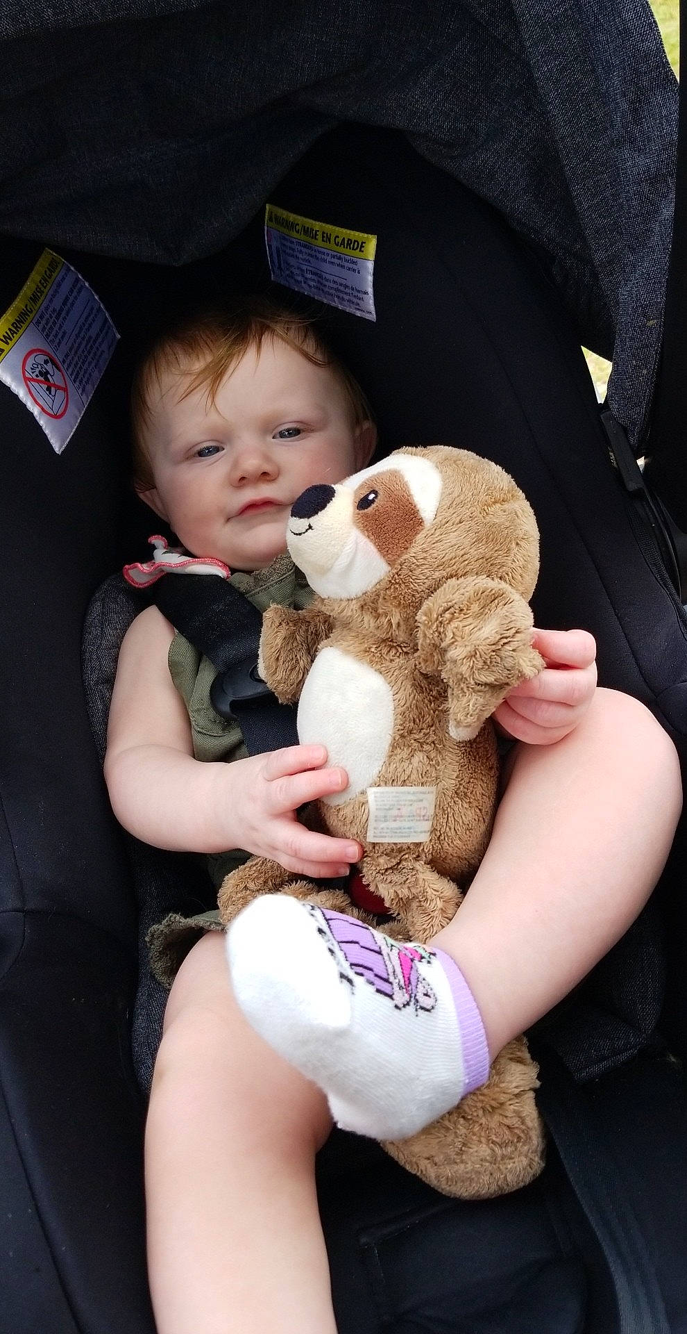 Ryleigh is registered to the contest to win money with this photo: baby, baby_toddler_clothing, child, comfort, companion_dog, doll, fawn, fun, fur, happy, human_leg, lap, person, plush, sitting, skin, stuffed_toy, teddy_bear, thigh, toddler