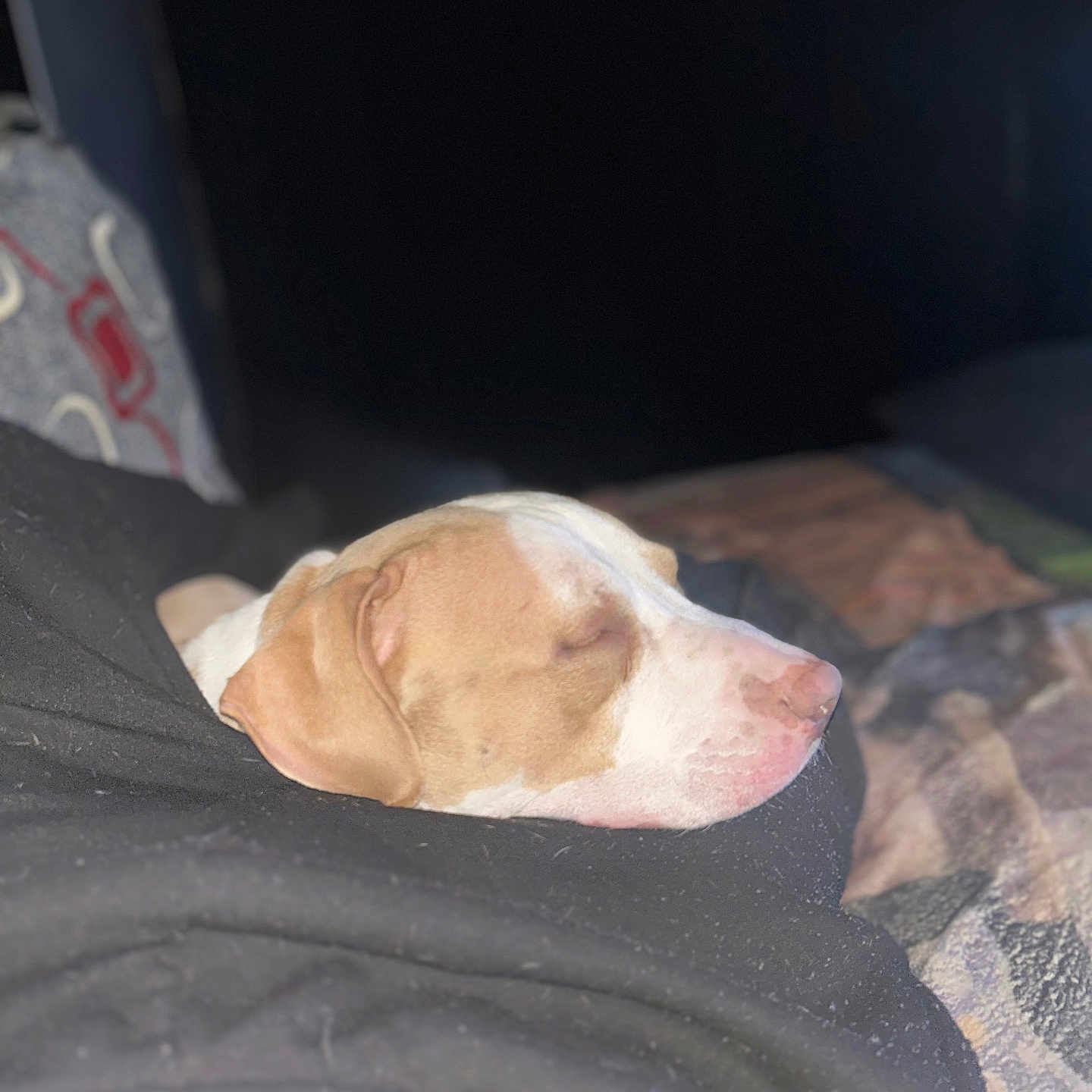 Yawnker