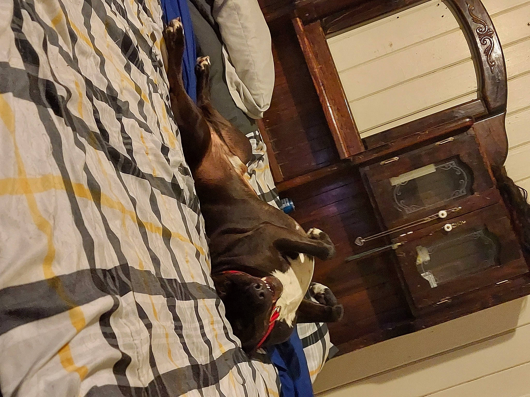 Blackjack is registered to the contest to win money with this photo: bag, brown, flooring, human_leg, machine, metal, pattern, room, shadow, wood