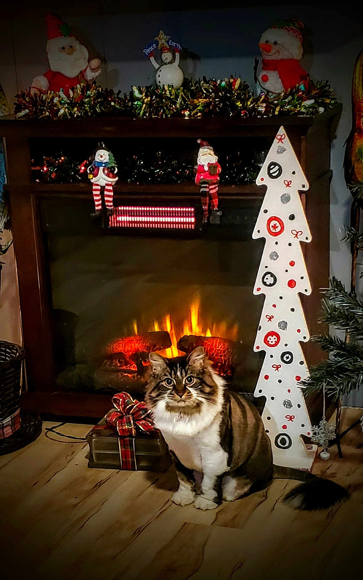 Baby joined the competition — help win amazing prizes! cat, christmas_decorations, cozy, decorative_tree, festive, fireplace, flooring, gift_box, holiday, indoor, living_room, ornament, pet, plush, santa_figurine, seasonal, snowman_figurine, tinsel, warm_lighting, wood_floor